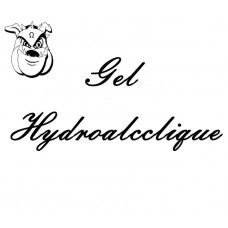 Gel hydroalcoolique 100ml